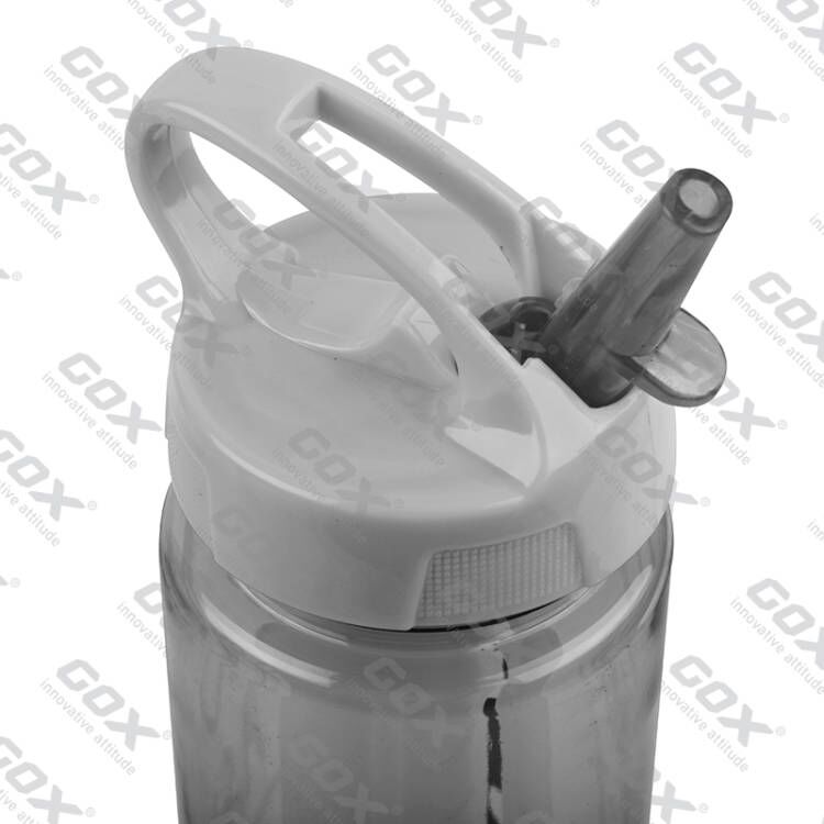 GOX China OEM Tritan Freezable Water Bottle with Ice Cooler Stick 4